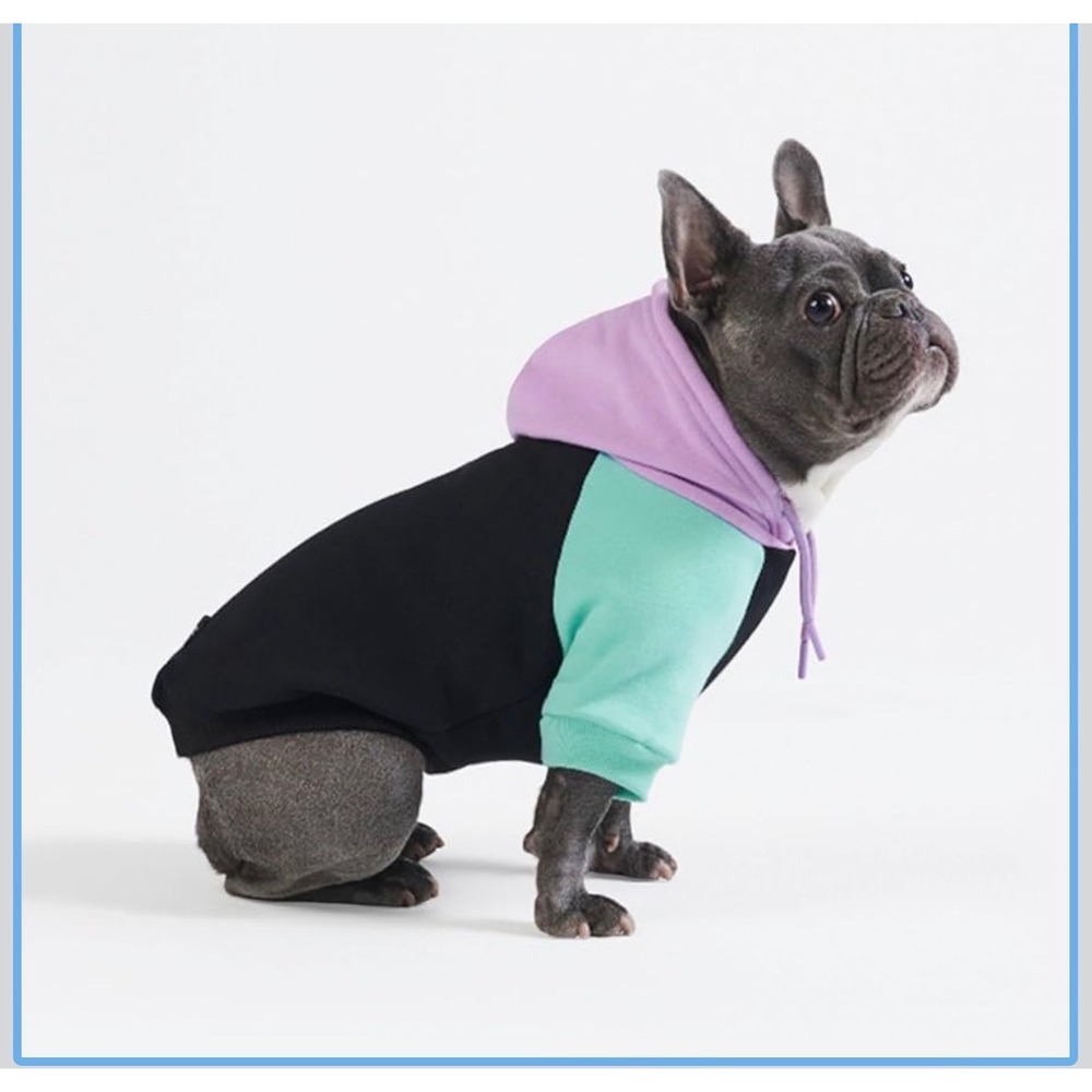 Colorblock Pet Hoodie Black Lavender Mint Pink Dog Sweatshirt Medium